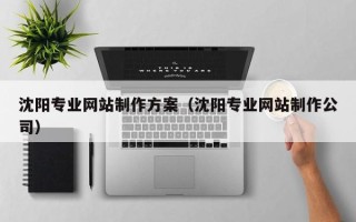 武穴沈阳专业网站制作方案（沈阳专业网站制作公司）